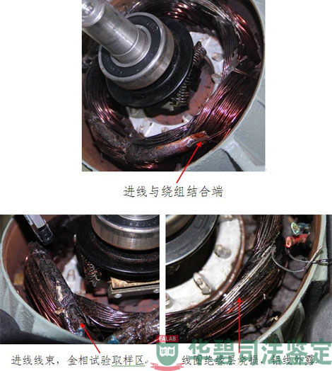 電動機(jī)內(nèi)線束檢查