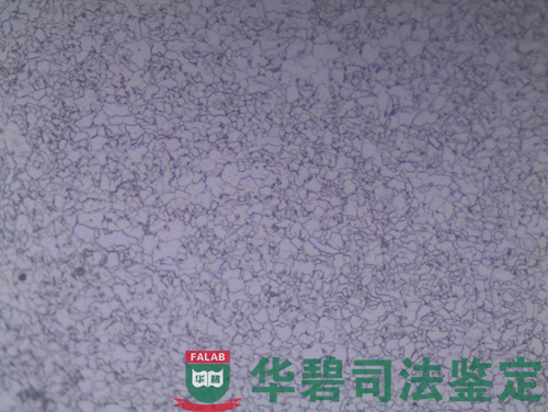 掛車(chē)主梁裂痕金相顯微鏡下觀察