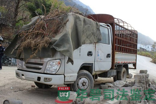 現(xiàn)場勘驗代表性圖片