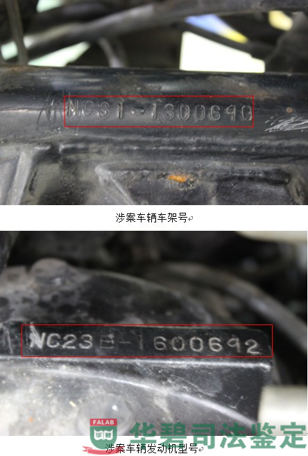 涉案車輛外觀及標(biāo)識